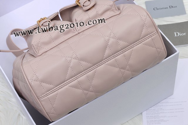 Dior专柜新款迪奥高仿原单Caro双肩包小羊皮女士双肩背包 djfk1570